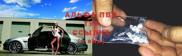 скорость Бородино