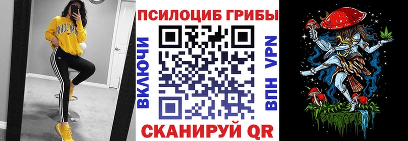 маркетплейс официальный сайт Нелидово Галлюциногенные грибы мухоморы